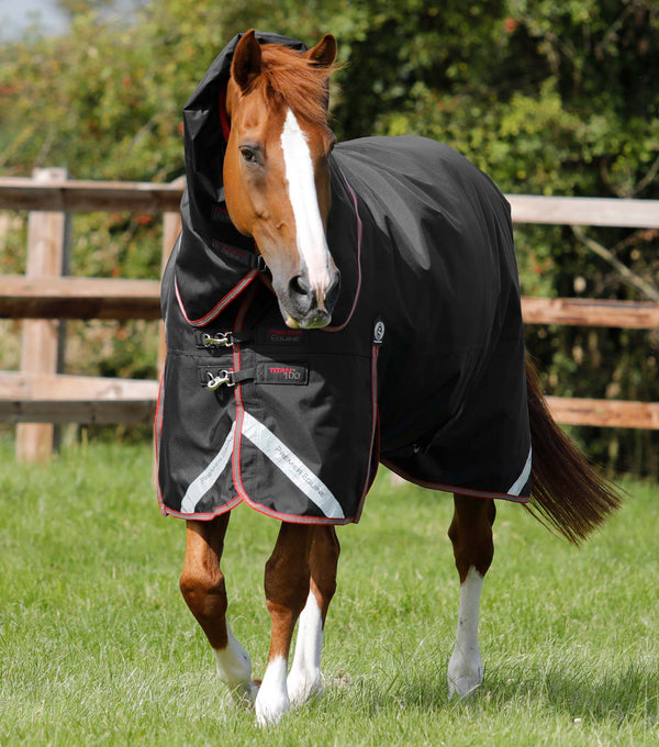 MARKED - Titan 100g Turnout Rug with Snug-Fit Neck Cover