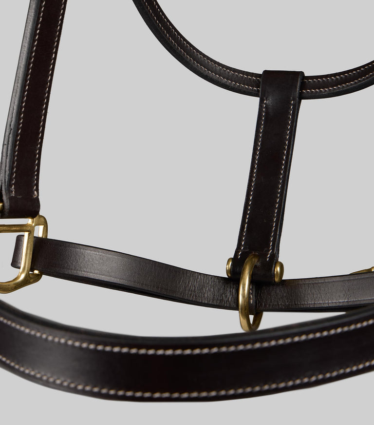 Traditional Leather Headcollar