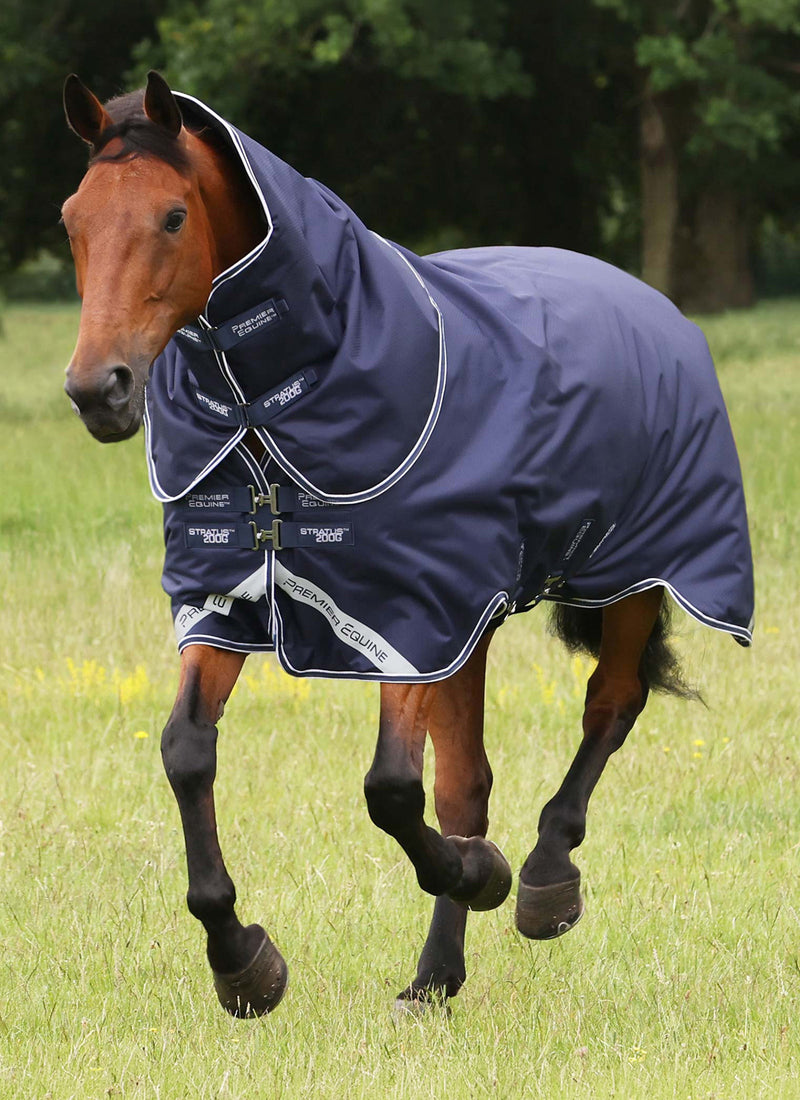 Turnout Rug Brochure