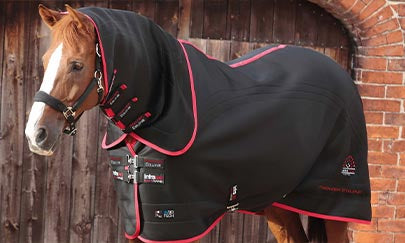 An image thumbnail accompanying the content below.