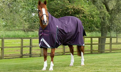 An image thumbnail accompanying the content below.