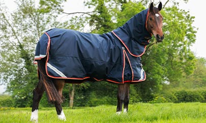 An image thumbnail accompanying the content below.