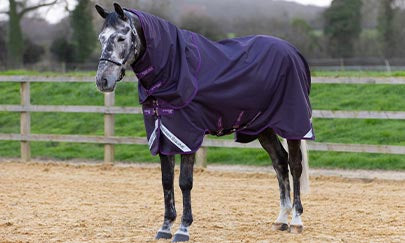 An image thumbnail accompanying the content below.