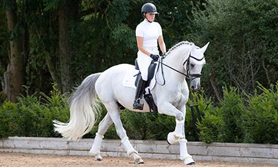 An image thumbnail accompanying the content below.