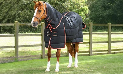 An image thumbnail accompanying the content below.