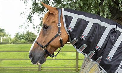 An image thumbnail accompanying the content below.