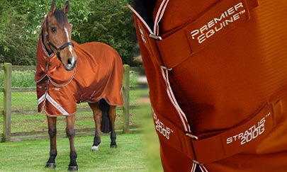 An image thumbnail accompanying the content below.