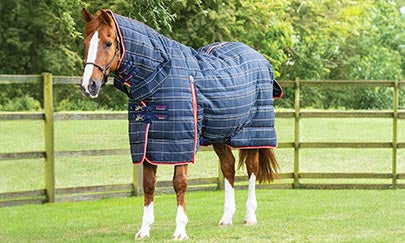 An image thumbnail accompanying the content below.