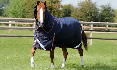 An image thumbnail accompanying the content below.