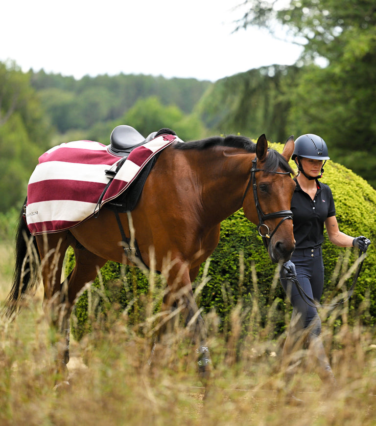 Vellus Exercise Sheet