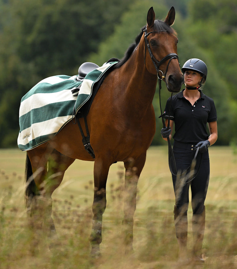 Vellus Exercise Sheet