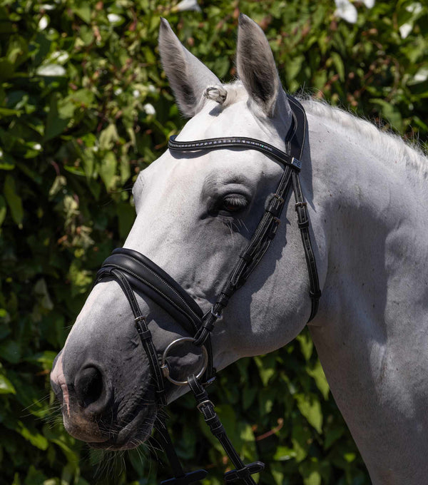 En Cuir Anglais Équitation Cheval Noir Selle Benin En Cuir Anglais Équitation Cheval Noir Selle Benin