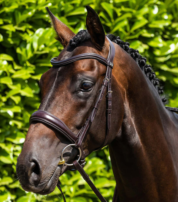 Verdura bridle