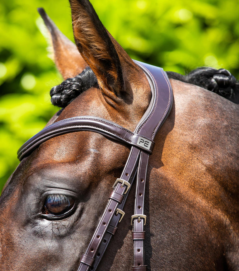 Verdura bridle