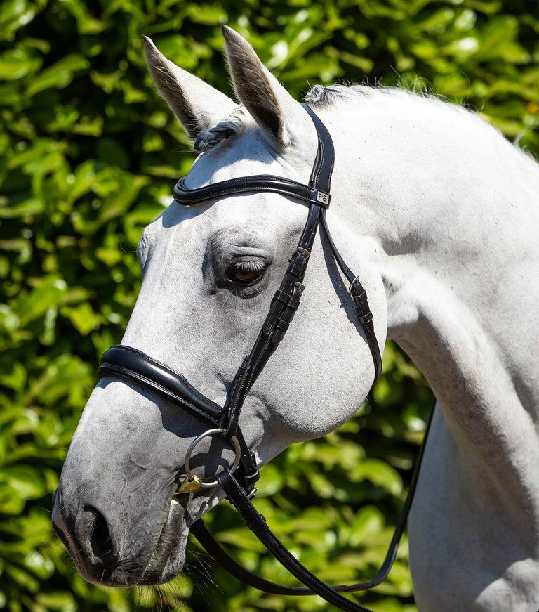 Verdura Anatomic Snaffle Bridle