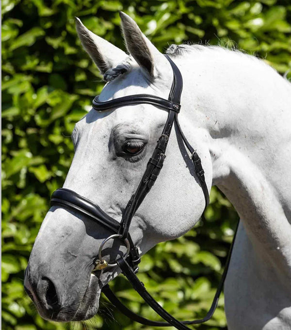 Verdura Anatomic Snaffle Bridle