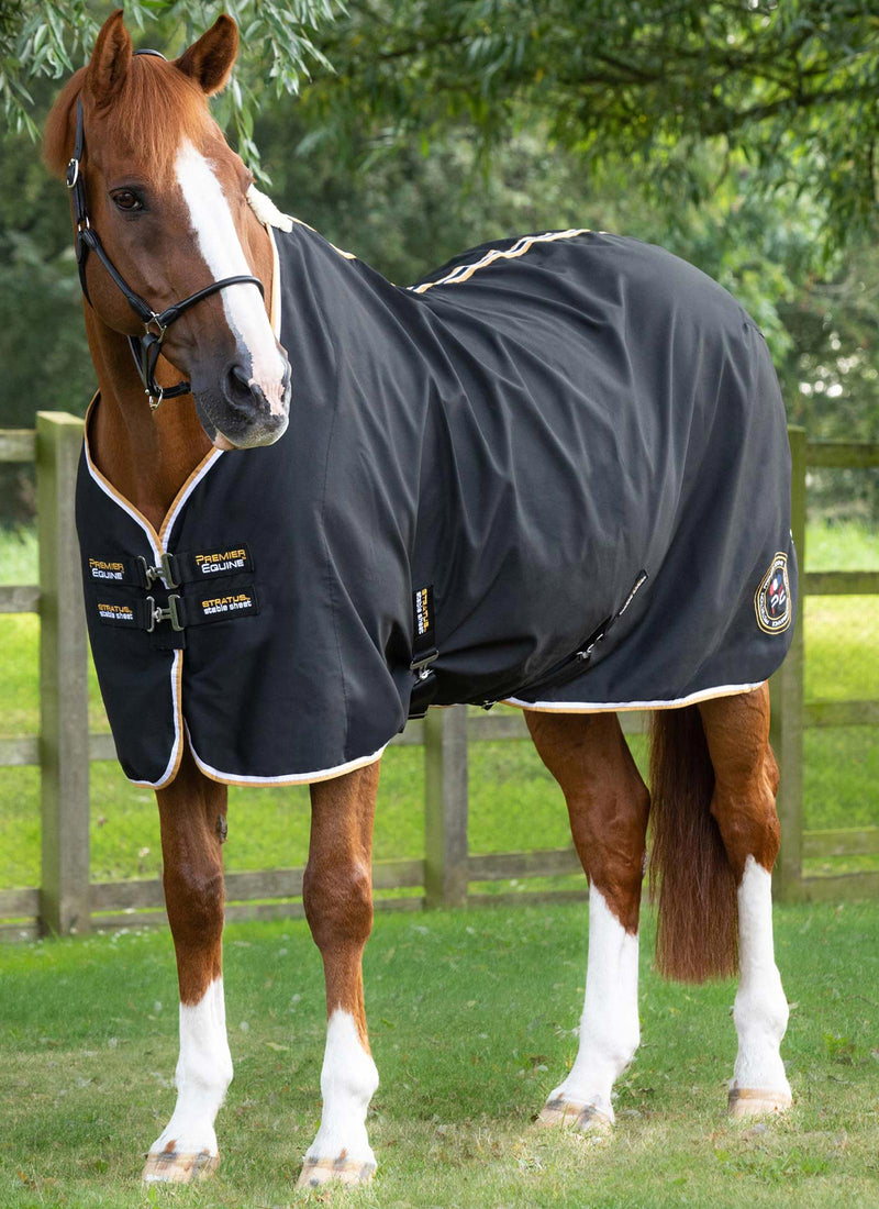 Stable Sheet Brochure
