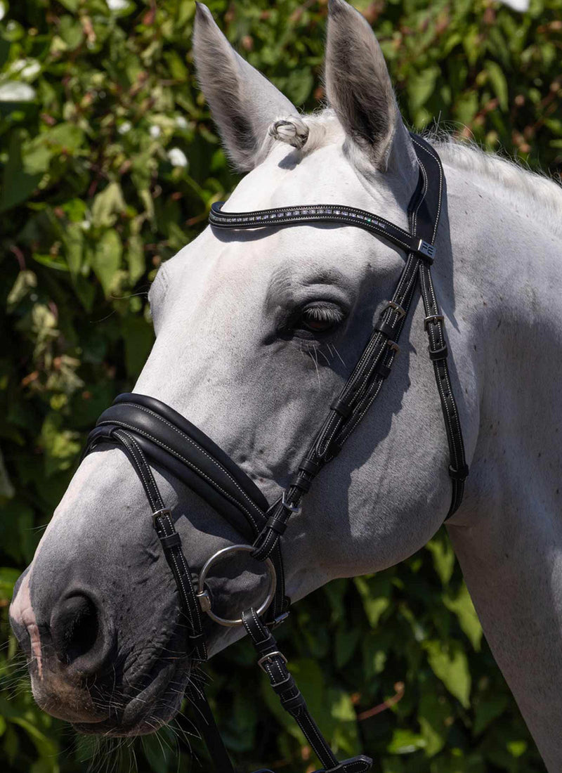 Bridle Brochure