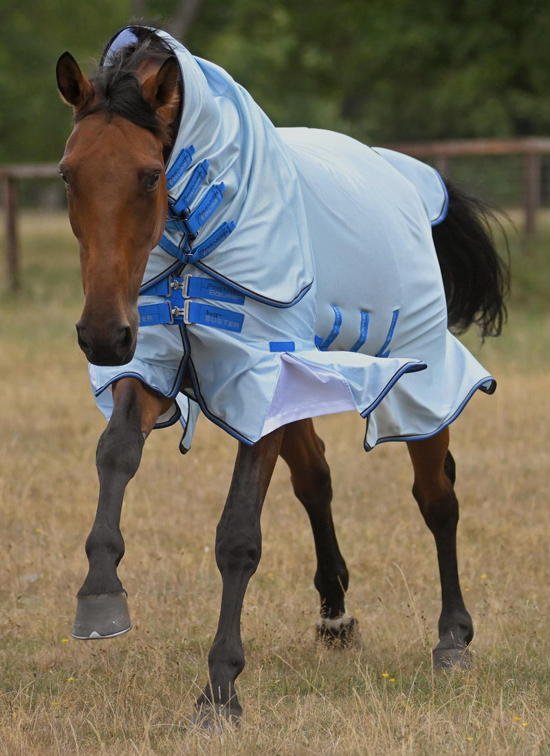 Fly Rug Brochure