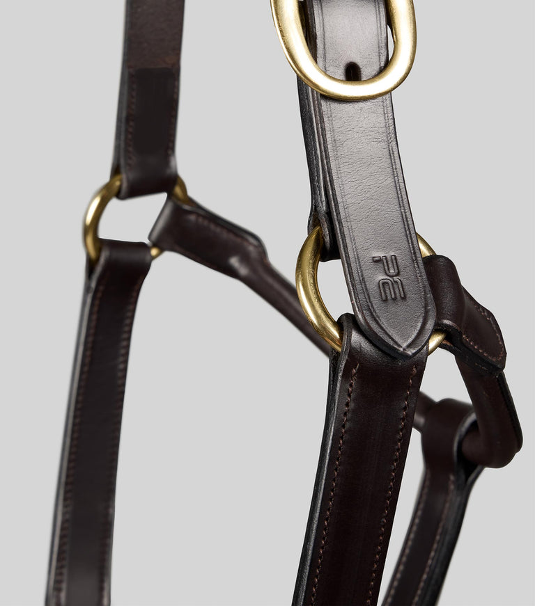 Yearling Head Collar