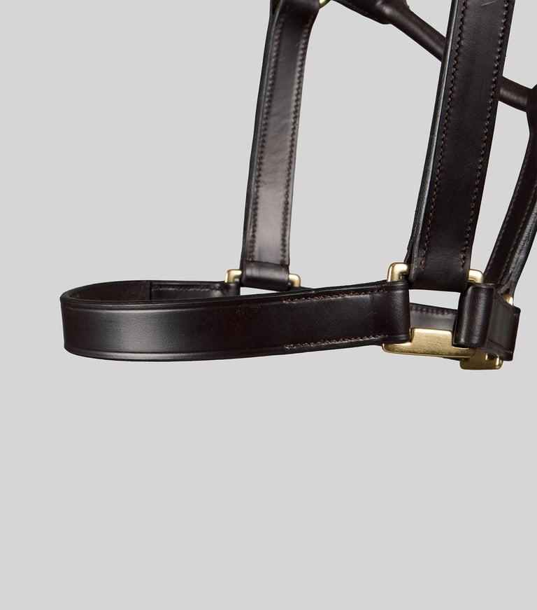 Yearling Head Collar