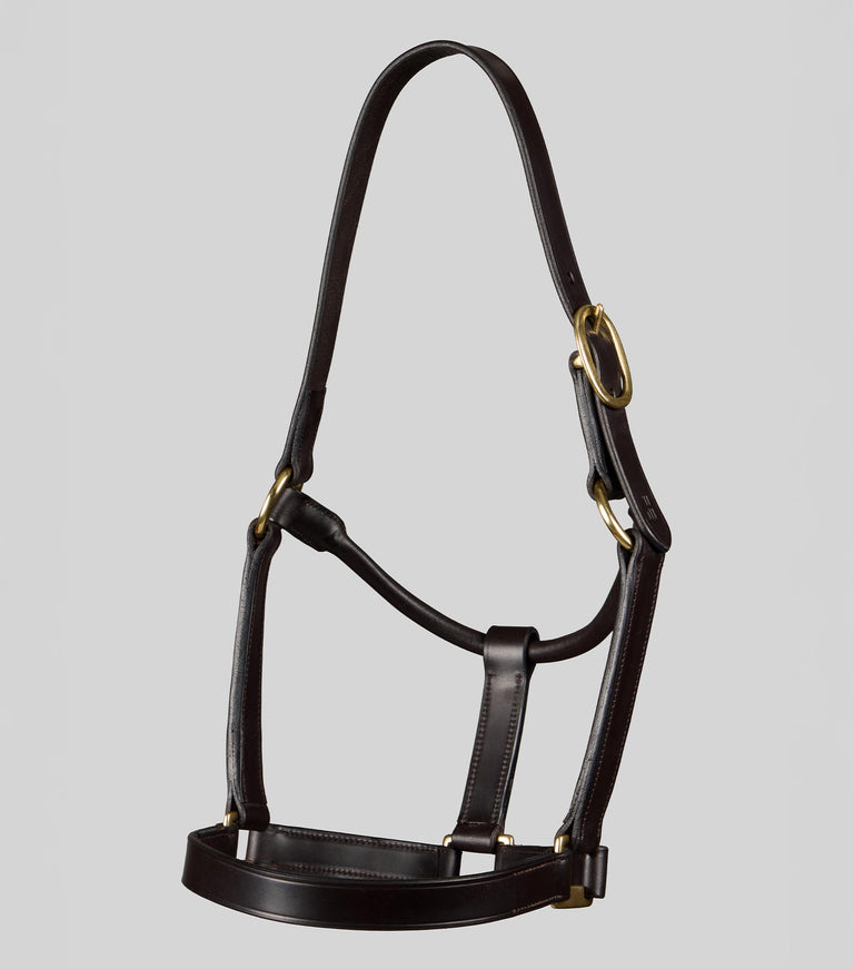 Yearling Head Collar