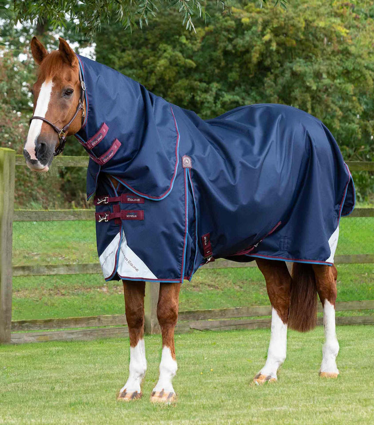 MARKED - Akoni 0g Turnout Rug with Classic Neck Cover