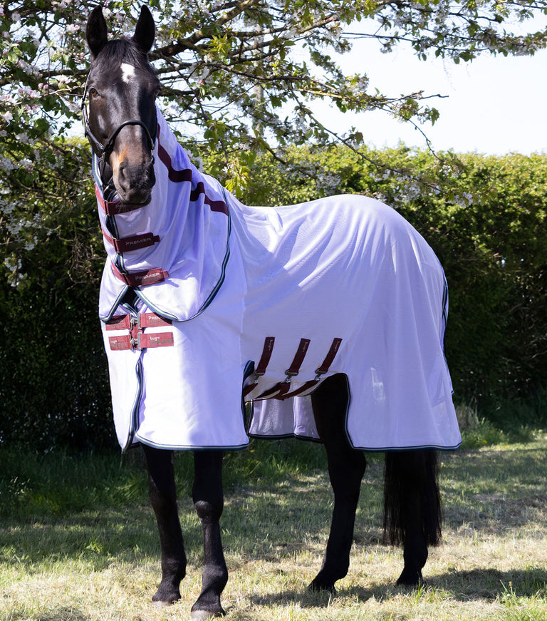 Bug Buster Fly Rug with Detachable Neck and Belly Flap Lavender