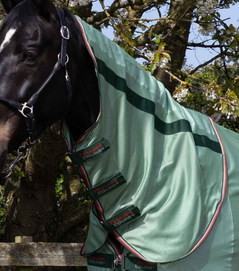 Bug Buster Fly Rug with Detachable Neck and Belly Flap Mint Green