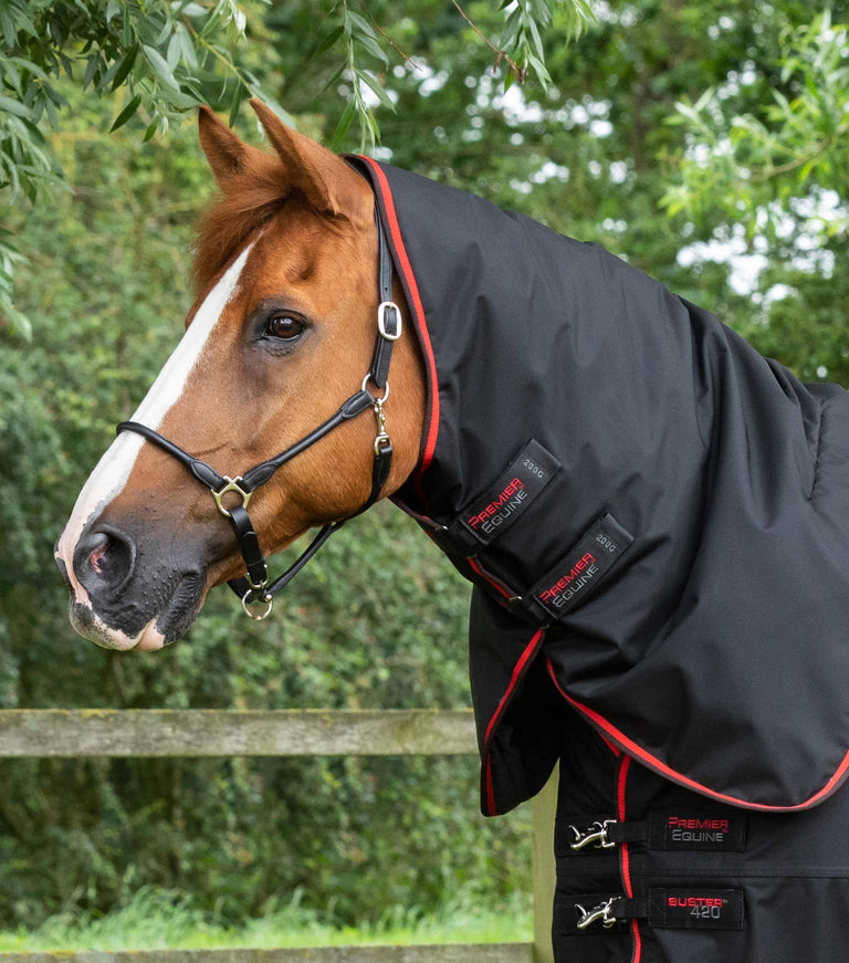 Buster 420g Turnout Rug with Classic Neck Cover
