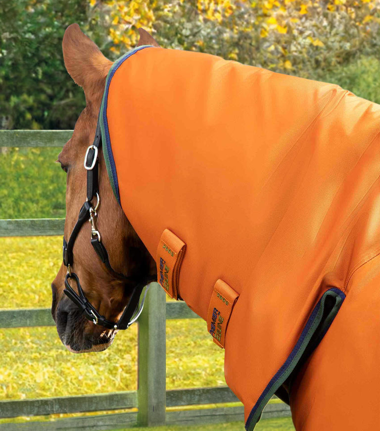 Buster Storm 400g Combo Turnout Rug with Classic Neck