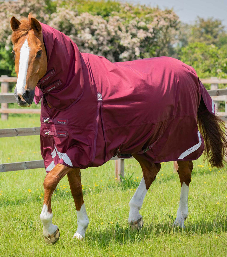 MARKED - Buster Storm 90g Combo Turnout Rug with Classic Neck