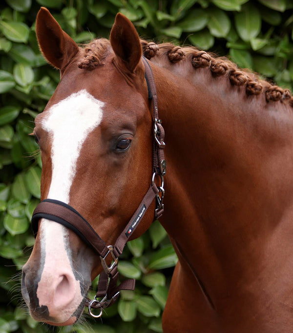 Corda Horse Head Collar with Lead Rope Brown