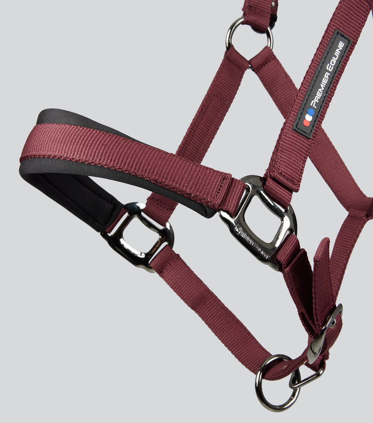 Corda Horse Head Collar with Lead Rope Burgundy