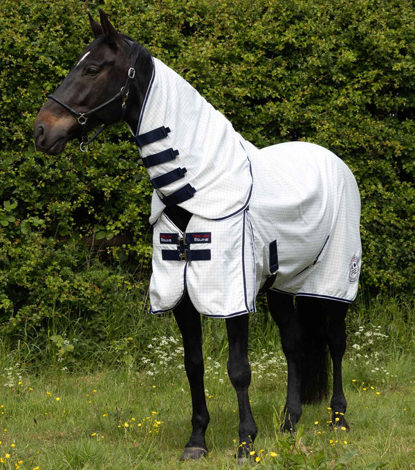 Cotone Combo Stable Sheet