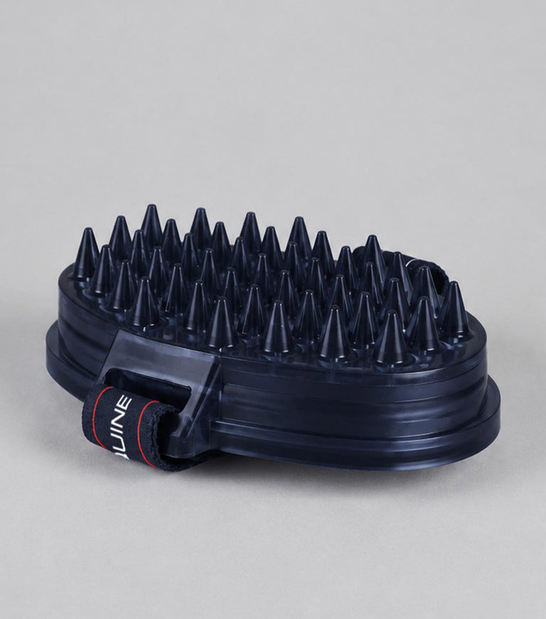 Curry Comb with intergrated Sponge
