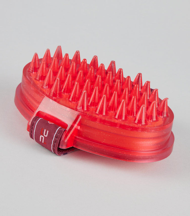 Curry Comb with Integrated Sponge