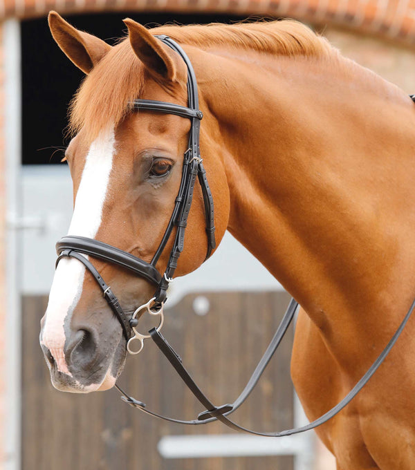 NOSEBAND ONLY - Delizioso Snaffle Bridle