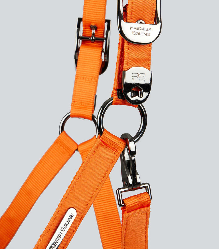 Duco Padded Head Collar with Lead Rope Orange