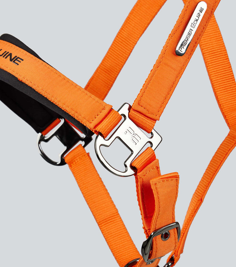 Duco Padded Head Collar with Lead Rope Orange
