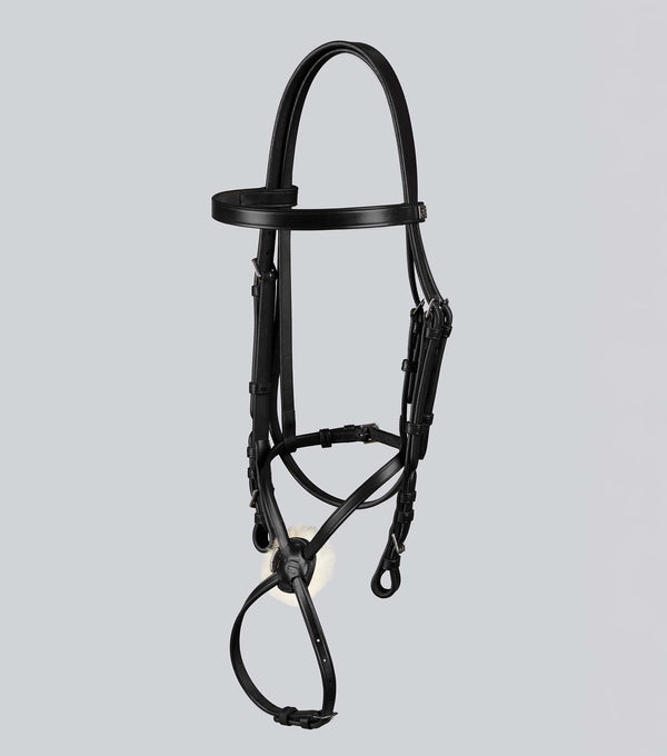 Exercise Racing Bridle With Grackle
