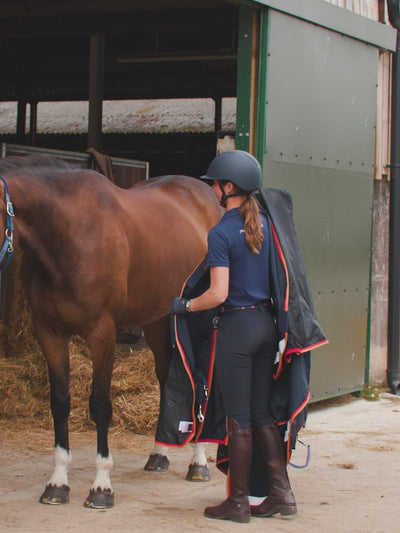 Buster-Zero-Turnout-Rug-Mobile-Video