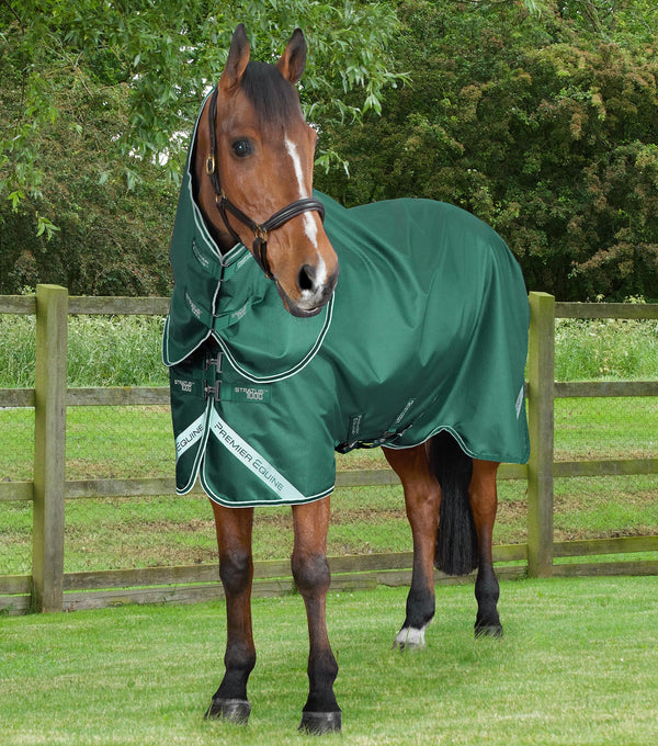 Stratus 600D Series 100g Turnout Rug with Classic Neck Cover Purple