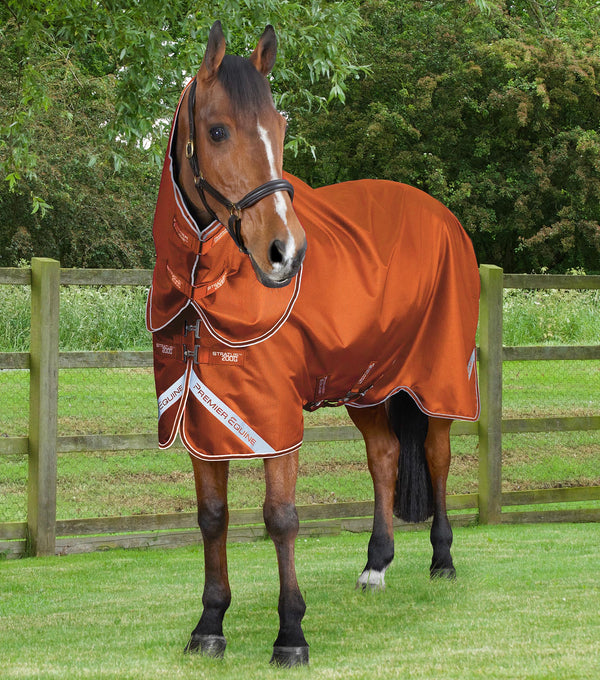 Stratus 600 Series 200 Turnout rug