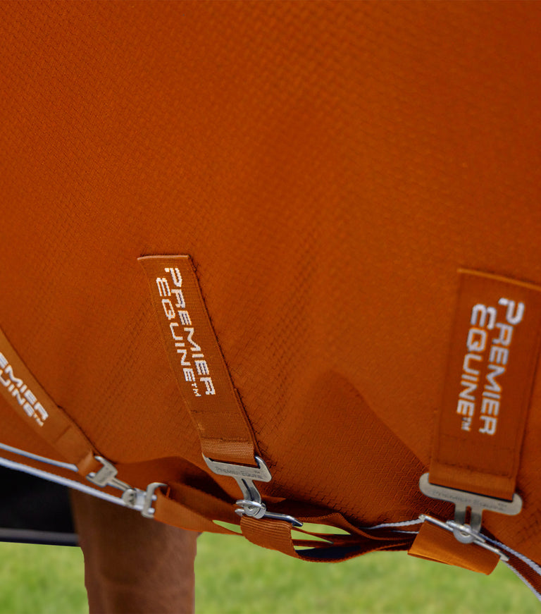 Stratus 600 Series 200 Turnout rug