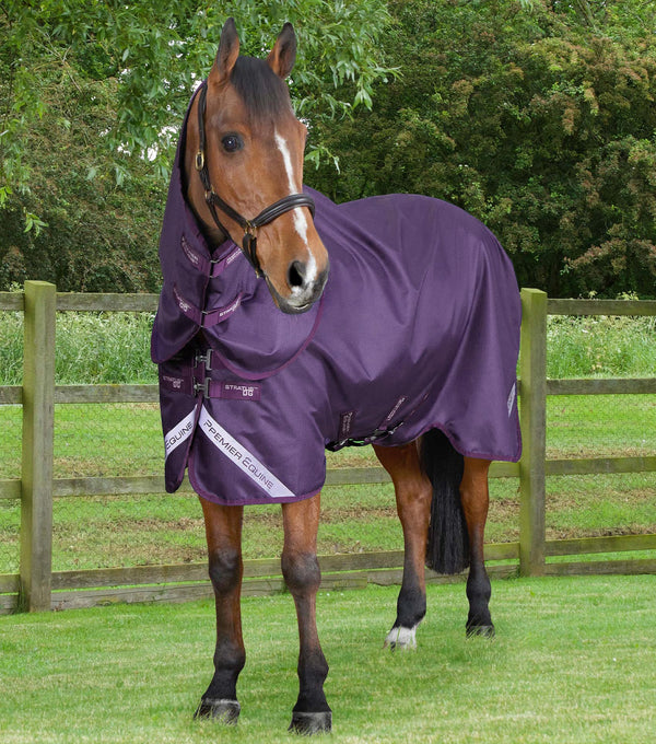 Stratus 600D Series 0g Turnout Rug with Classic Neck Cover Purple