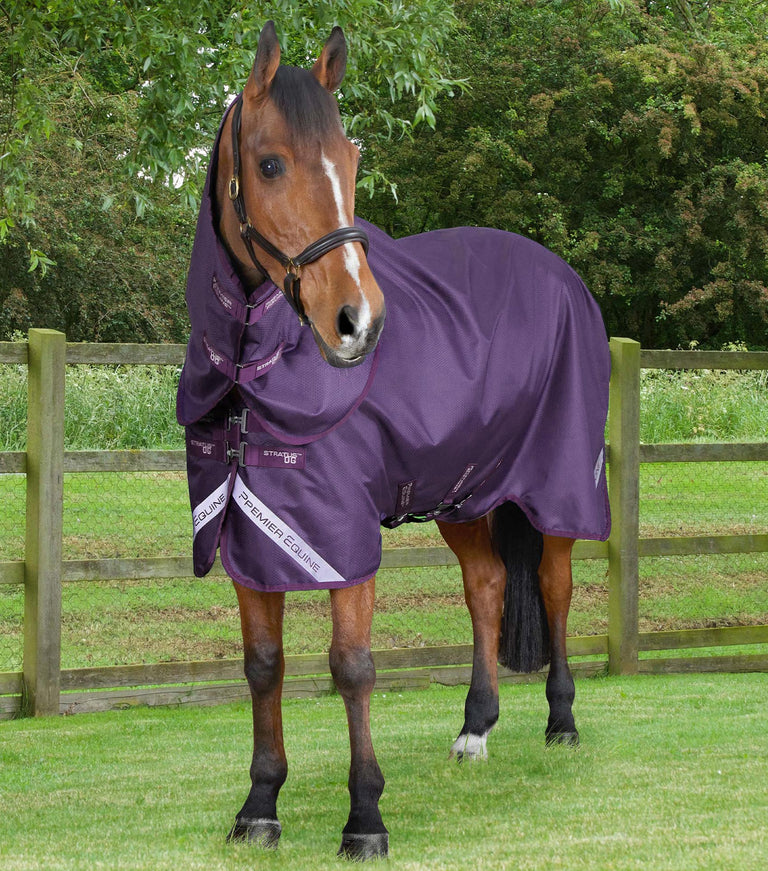 Stratus 600D Series 0g Turnout Rug with Classic Neck Cover Purple