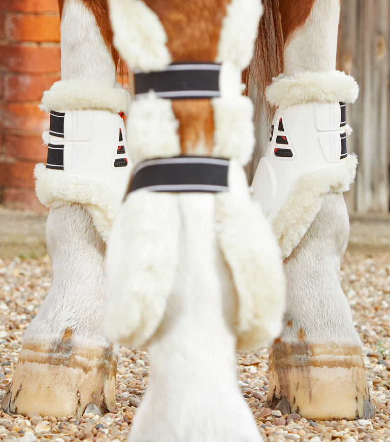 Techno Wool Fetlock Boots