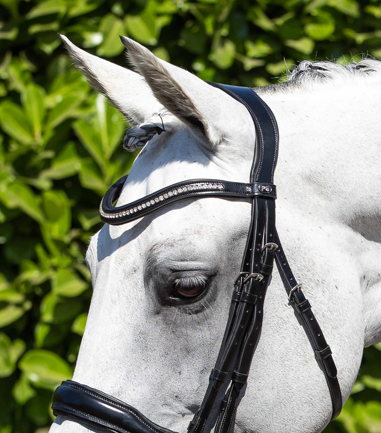 Abriano Anatomic Double Bridle