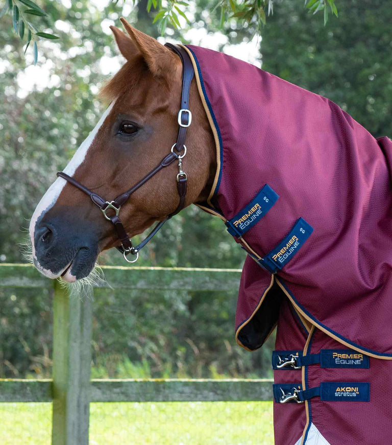 Akoni 0g Turnout Rug with Classic Neck Cover